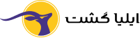 ایلیا گشت